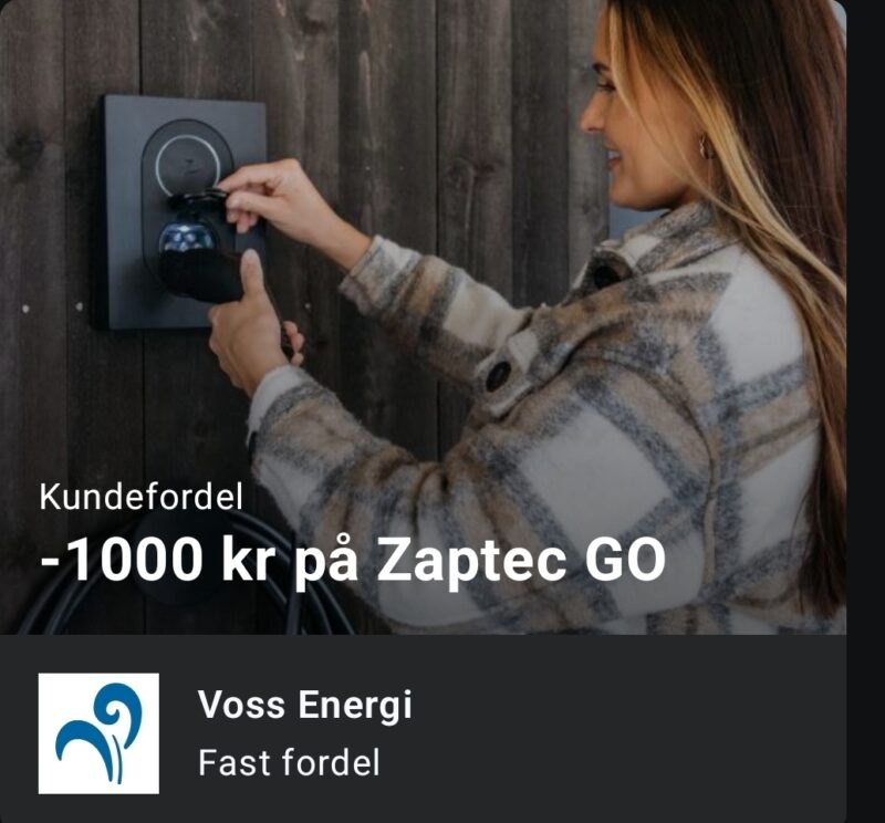 Elbil ladar
